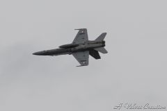 IMG_0184d