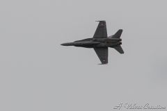 IMG_0194d