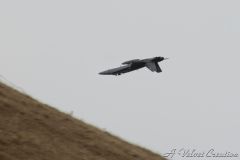 IMG_0202e