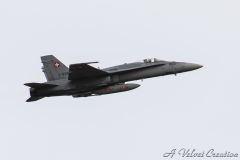 IMG_0216d
