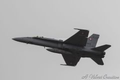 IMG_0307d