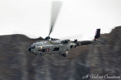 IMG_0490d
