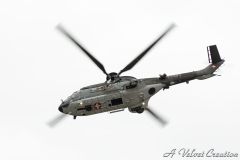 IMG_0496b
