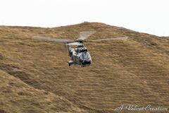 IMG_0517b