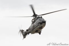 IMG_0522b