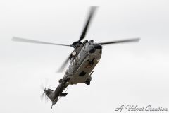IMG_0524b