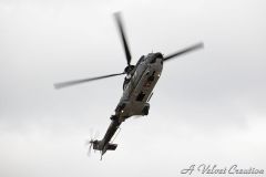 IMG_0526b