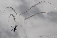 IMG_0547b