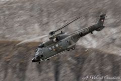 IMG_0578b