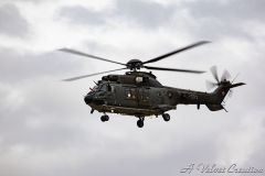 IMG_0605b