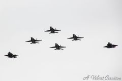 IMG_0621b