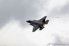 IMG_0733b