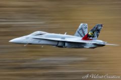 IMG_0955b