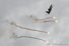 IMG_1038b