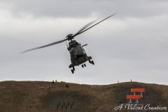 IMG_1092b