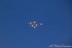 IMG_0059d