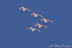 IMG_0109c