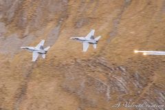 IMG_0175