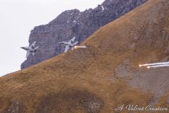 IMG_0185