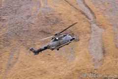 IMG_0289