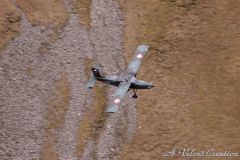 IMG_0419
