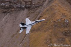 IMG_0476