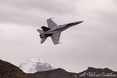 IMG_0478
