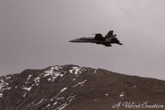 IMG_0526