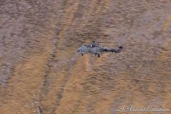 IMG_0725