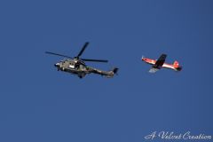 IMG_9534