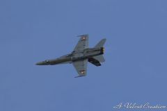 IMG_9885