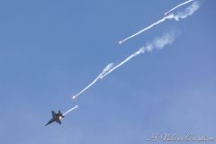 IMG_9979