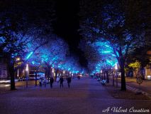 DSCF1657b