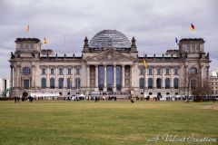 IMG_1966