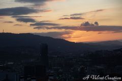 IMG_6743c