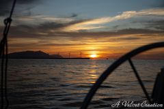 IMG_6786c