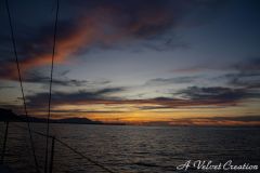 IMG_6871b