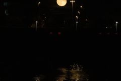 IMG_6953b