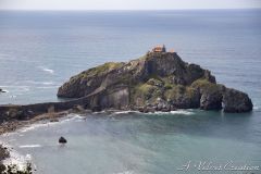 IMG_7768a