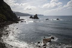 IMG_7786a