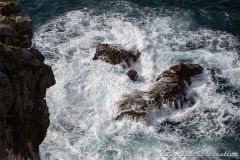 IMG_7812a