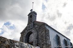 IMG_7822a