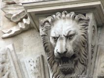 DSCF0783b