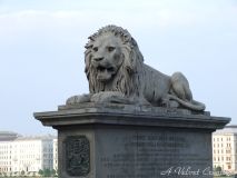 DSCF0787