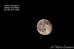 IMG_2228b
