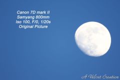IMG_3241