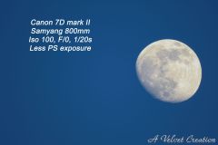 IMG_3241a