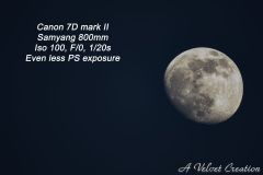 IMG_3241b