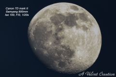 IMG_3241c