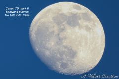 IMG_3241d